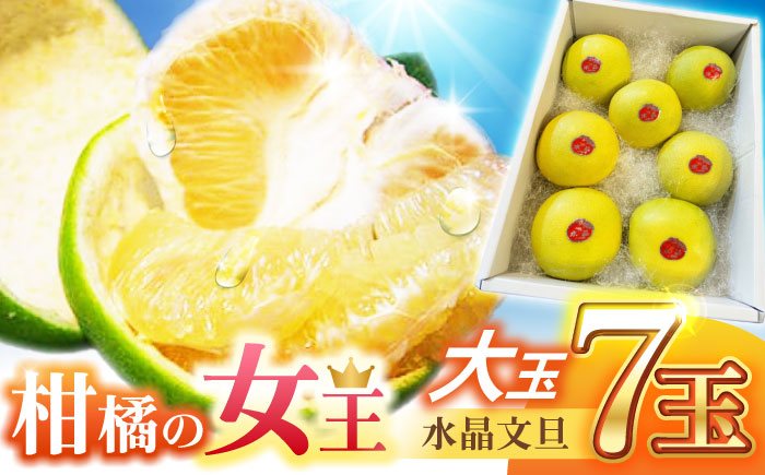 【先行予約】 南国土佐の女王柑橘 水晶文旦 約5kg 7玉入り〈2026年9月中旬～2026年12月中旬頃発送〉/ 大玉サイズ ぶんたん 文旦 5kg 5キロ フルーツ 高知 名物 果物 柑橘 ムッキー【フルーツショップオザキ】[ATAH010]