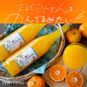 【爽やかなのに濃い！】無添加ストレートみかんジュース 720ml 2本