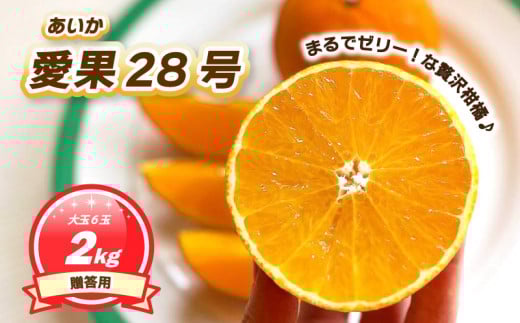 【11月下旬~1月上旬頃発送予定】 贈答用 愛果28号 2kg 大玉6玉入り | あいか ご家庭用 みかん 数量限定 みかん 愛媛県産 みかん 愛果28号 松山市 みかん 愛果28号 みかん 蜜柑 愛果28号 ミカン みかん 旬 愛果28号