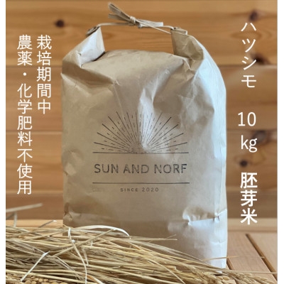 
                  ＜令和7年産＞初霜(源種)胚芽米10kg　(栽培期間中農薬・化学肥料不使用)【1721479】
                