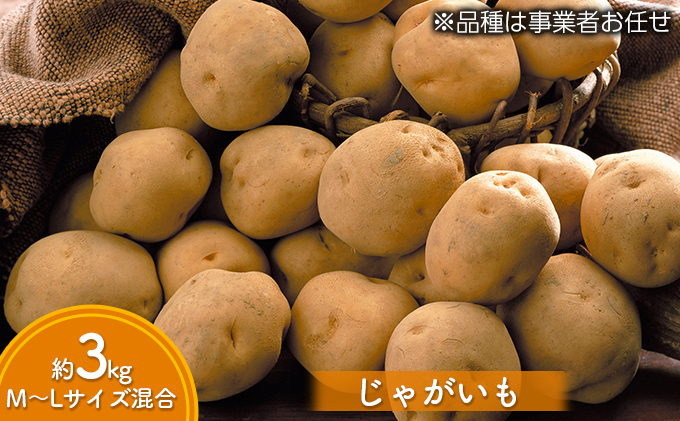 道の駅とうや湖 秋の味覚4種セット(新米ゆめぴりか・じゃ