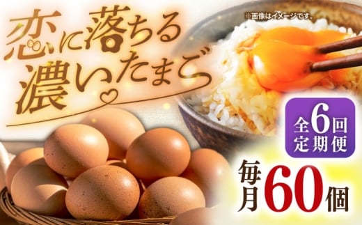 【全6回定期便】特選 素直な恋たまご 60個 《壱岐市》【しまのたまご屋さん】 [JAP004] 卵 たまご 鶏卵 玉子 ギフト 国産 もみじ 卵かけご飯 たまごかけご飯 定期便 78000 78000円