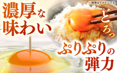 特選 素直な恋たまご 30個 《壱岐市》【しまのたまご屋さん】 [JAP016] 卵 30個 たまご 鶏卵 玉子 30個 ギフト 国産 もみじ 卵かけご飯 たまごかけご飯 すき焼き 目玉焼き 8000