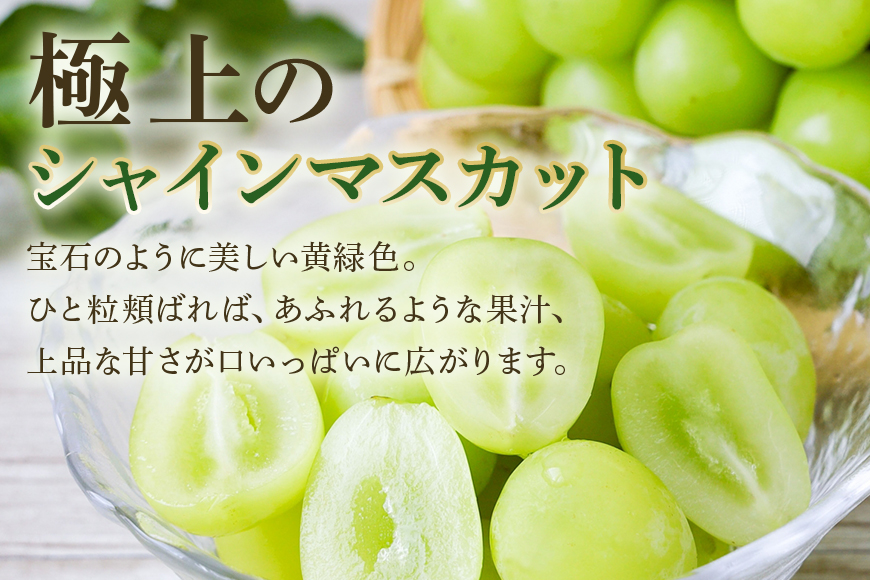 ＜2026年 先行予約＞ シャインマスカット 数量限定 1kg 農園直送 期間限定 果物 フルーツ ブドウ 葡萄 ぶどう 9月1日以降発送 冷蔵 小美玉市 70-I