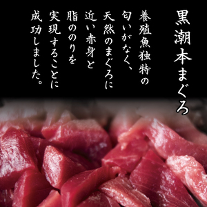 本マグロ ブツ切り 300g 【マグロマグロマグロマグロマグロマグロマグロマグロマグロマグロマグロマグロマグロマグロマグロマグロマグロマグロマグロマグロマグロマグロマグロマグロマグロマグロマグロマグロ