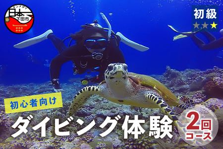 体験 チケット 体験ダイビング 2回 ダイビング 