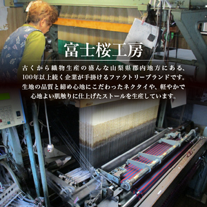 ネクタイ　富士桜工房　ダイヤモンド富士（臙脂）
