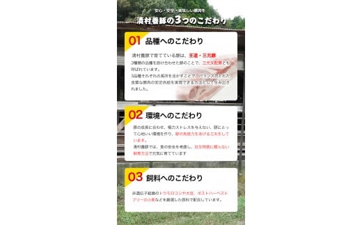 肩ロースしゃぶしゃぶ 600g 清村養豚《60日以内に出荷予定(土日祝除く)》 肉 豚肉 肩ロース 冷しゃぶ 小分け 清豚 ---sm_fkyrsya_60d_22_10500_600g---