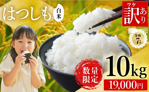 【訳あり】【今だけ寄付額改定！在庫なくなり次第終了】【岐阜県代表品種】　令和7年産　ハツシモ米　白米10kg  寄付額改定  数量限定  期間限定　L8
