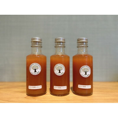 【ふるさと納税】南国グアバとすっきり柑橘の爽やかカクテルシロップ 【グアバ柑橘シロップ】 A3-385【配送不可地域：離島】【1695315】