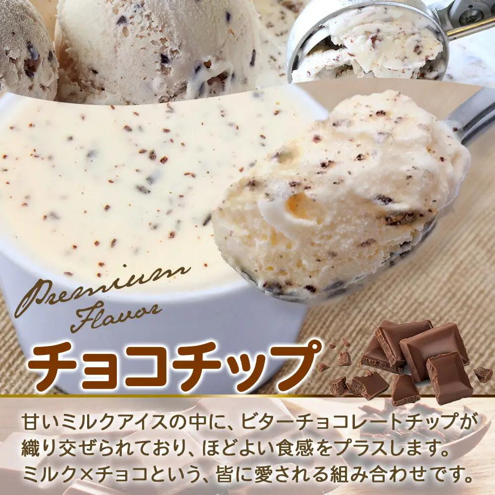 くりーむ童話 カップアイス チョコチップ 100ml×6個 アイスクリーム アイス スイーツ 牛乳 ミルク 贈り物 gift ギフト プレゼント 詰め合わせ 送料無料 北海道 弟子屈町 2335