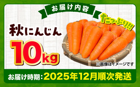 【先行予約】【2025年12月順次発送開始】秋にんじん10㎏ / 秋人参 人参 菊陽人参 人参ジュース 人参じゅーす 人参農家　【株式会社 まゆみ農園】[BHCW006]