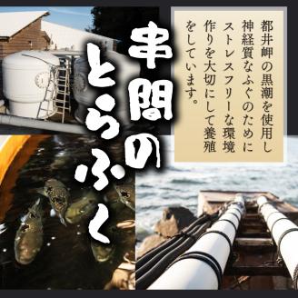 AB-EF1 ＜毎月数量限定＞年末年始や宴会に！とらふく刺身・ちり鍋セット(4人前) 国産最高級とらふく料理をご自宅で【大田商店】