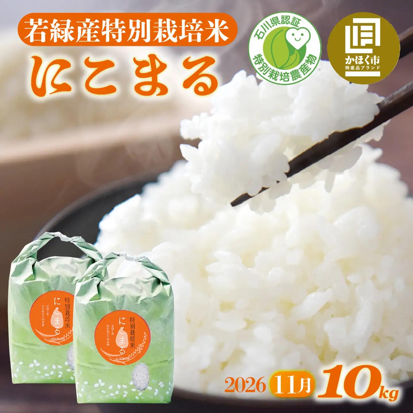 【令和8年産】  にこまる 10kg（5kg × 2袋） 【2026年11月配送】 |  にこまる 白米 新米
