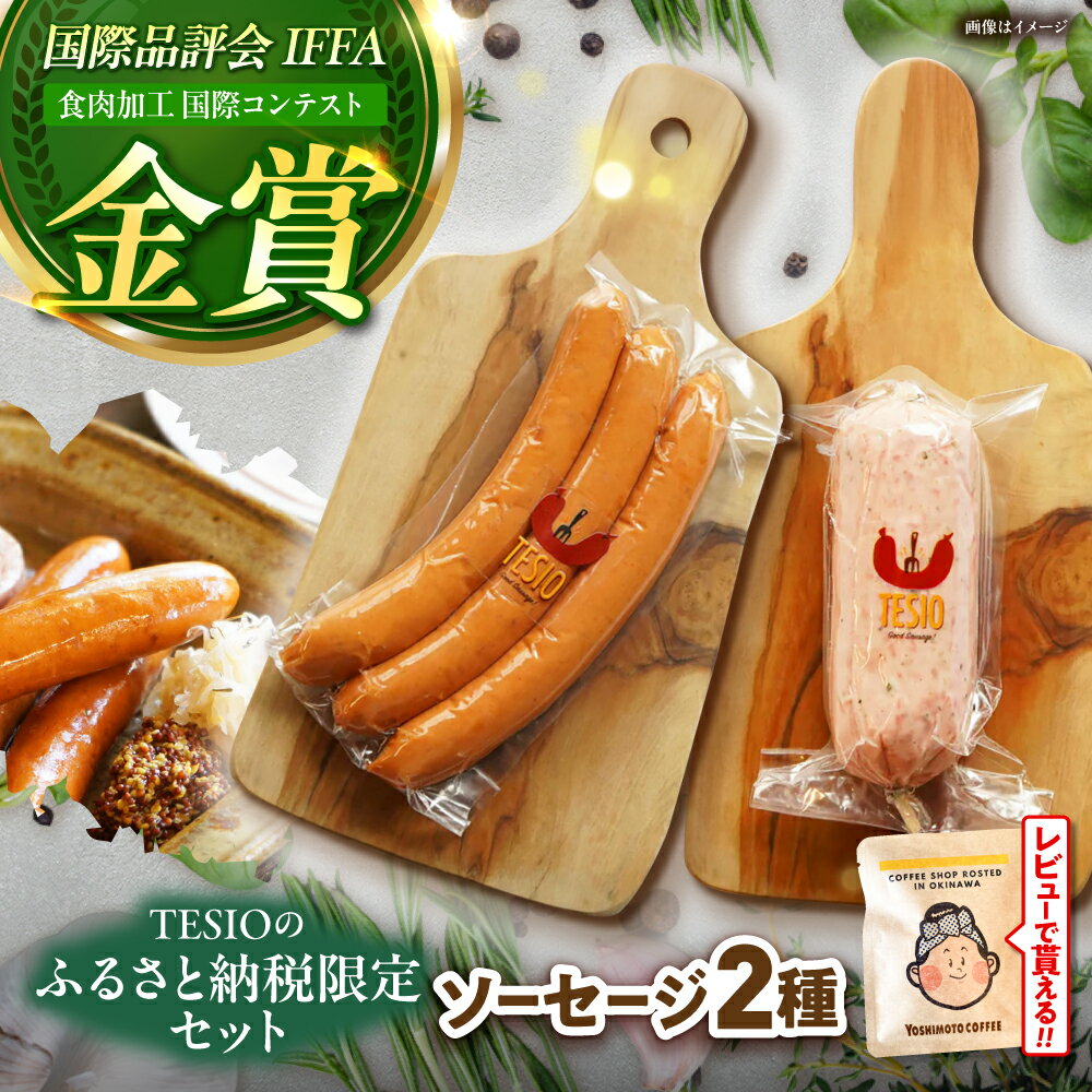 【ふるさと納税】【ふるさと納税限定】TESIOの自家製フランク＆ボローニャセット (計380g) 豚肉 小分け 真空パック 沖縄市 10000円/ TESIO [BCAD005] セット・詰め合わせ 手作り