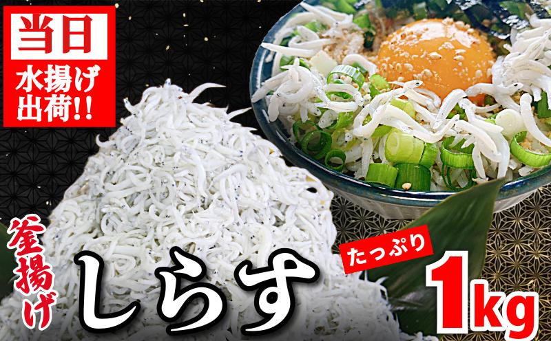 【5月から12月中旬まで発送】 釜揚げ しらす 1kg 国産 徳島県産 和田島産 とれたて 新鮮 産地直送 冷蔵 発送 小分け 250g 4袋 セット 和田島しらす ちりめん 魚介類 魚 小魚