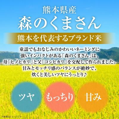ふるさと納税 八代市 【令和6年産】熊本県産 森のくまさん 10kg(5kg×2袋) お米ひとすじ70年!八代食糧 |  | 03