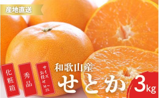 秀品 せとか 和歌山 有田 化粧箱 M～4Lサイズ お任せ 3kg【2月中旬～3月下旬頃に順次発送】/ みかん フルーツ 果物 くだもの 蜜柑 柑橘【ktn014-p-3A】