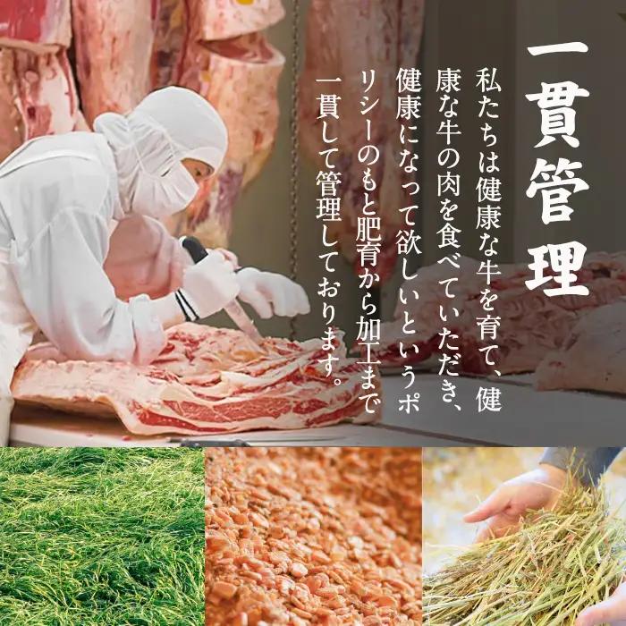宮崎黒毛和牛カットオブビーフ切落し(500g)【AR001】【(有)有田牧畜産業 食肉加工センター】