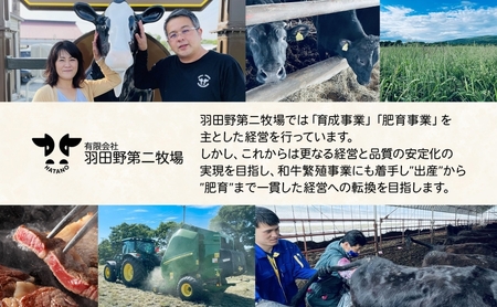 黒牛 焼肉カルビ 美深黒牛 北海道産 黒牛【2kg(500g×4)】