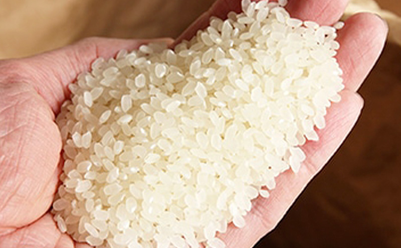 【定期便】コシヒカリブレンド5kg×2回 米 こしひかり ブレンド 定期 新潟市