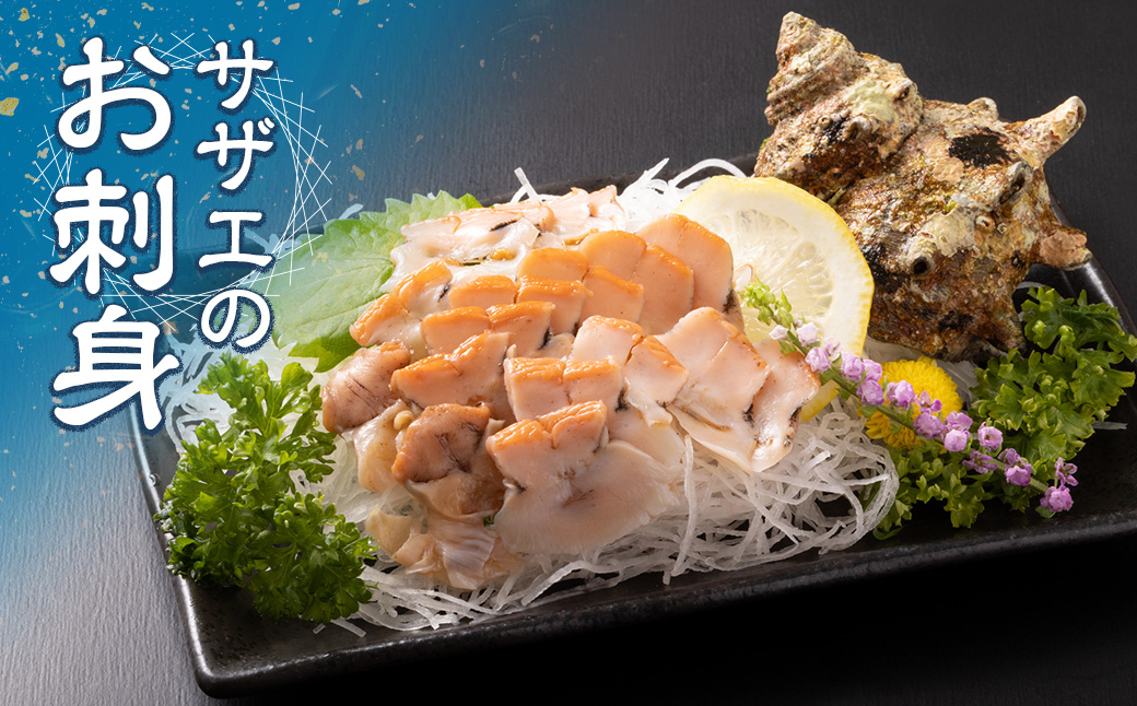 （冷蔵）地物　活きサザエAコース　1kg（8〜12ヶ入り）／貝　壺焼　さざえ　海の幸　新鮮　伊勢志摩