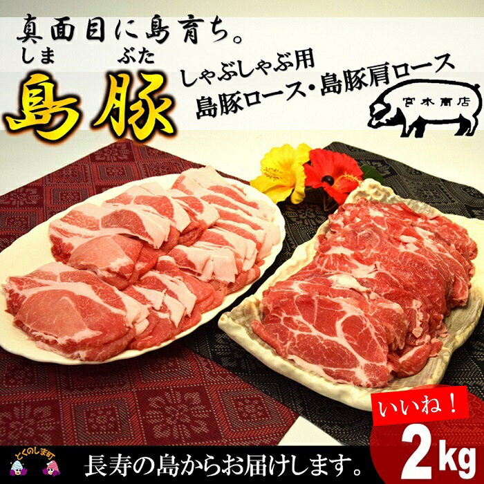 【ふるさと納税】〜真面目に島育ち〜徳之島の島豚セットE（しゃぶしゃぶ用ロースと肩ロース）