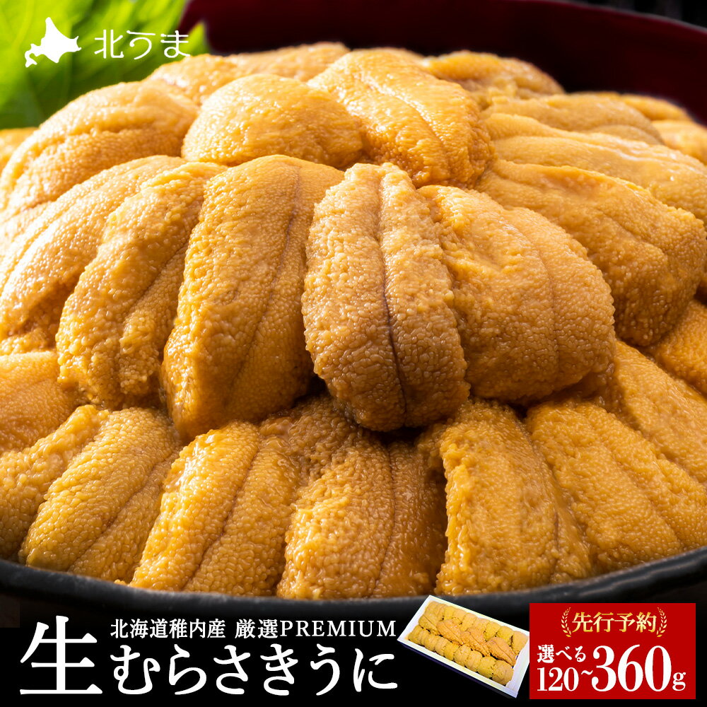 【ふるさと納税】【先行予約】【厳選PREMIUM】美味しいウニは昆布の名産地にあり!生むらさきうに 選べる1～3パック 1パック120gムラサキウニ うに むらさきうに 生うに 海鮮 海産物 北海道ふるさと納税 稚内 ふるさと納税 北海道 【配送不可地域：離島・沖縄県】