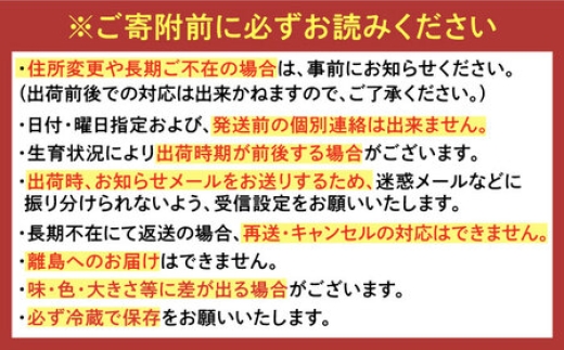 いちごさん 苺 イチゴ いちご フルーツ 果物 くだもの 濃厚 甘い 甘味 佐賀