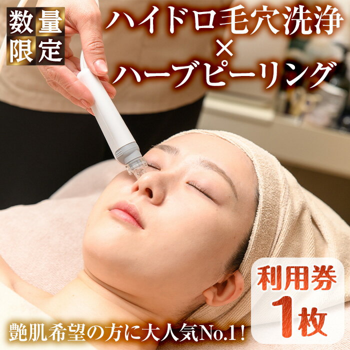 【ふるさと納税】＜数量限定＞ハイドロ毛穴洗浄×ハーブピーリング利用券(1枚) ハイドロハーブピーリング 高濃度美容液inパック 陶器肌 ハイドロ毛穴洗浄 毛穴ケア 国産ハーブ 艶肌 美容 フェイシャル サロン エステ レディース チケット 体験 【m66-15】【melty minoh】