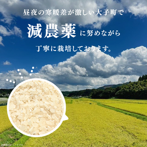 【 令和7年産】つやつや光るコシヒカリ 10kg 菊池農園｜茨城県 大子町 お米 白米 精米 産地直送 米 もちもち（CL002-1）