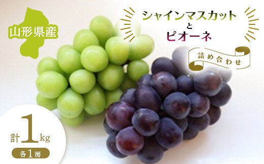 【先行予約 令和8年度発送】山形県産 シャインマスカットとピオーネの詰め合わせ 各1房 計1kg  マスカット ぶどう ブドウ 葡萄 デザート フルーツ 果物 くだもの 果実 食品 山形県 FSY-0680