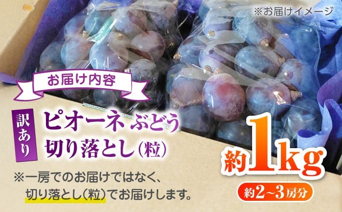 訳あり ピオーネ ぶどう 切り落とし 約1kg ブドウ 葡萄 ぶどう わけあり 国産 熊本県 山鹿市 果物 くだもの フルーツ