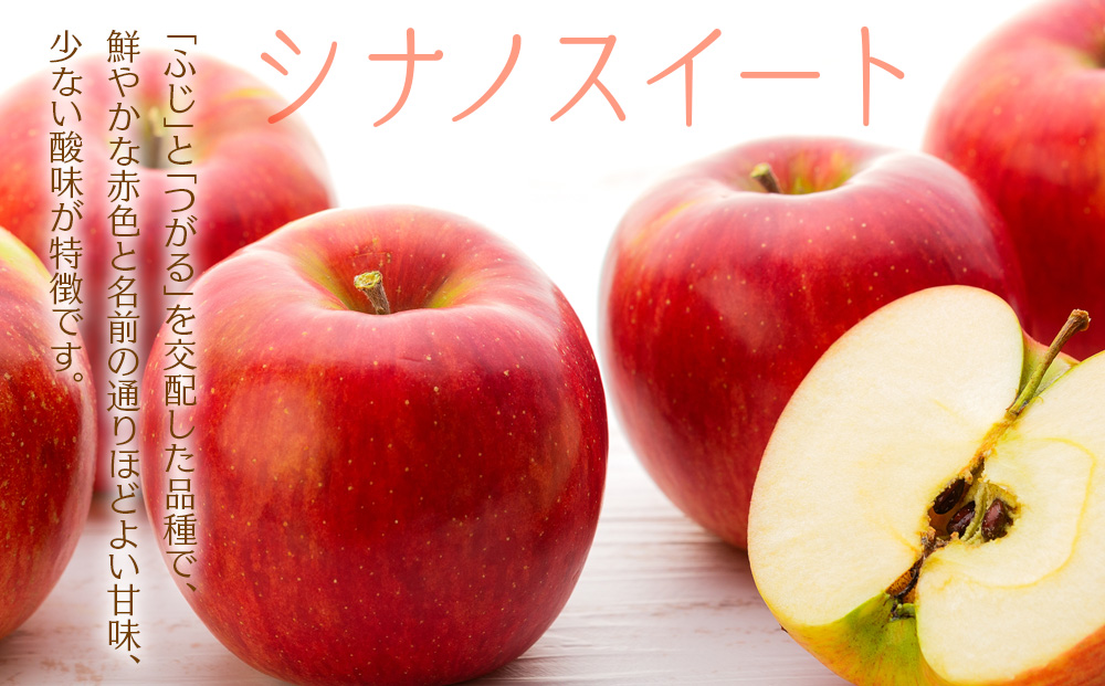 訳あり りんご 上伊那産 シナノスイート 4.5kg 16～18玉 林檎 