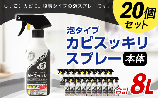 
カビスッキリスプレー 本体 塩素タイプ 泡スプレー カビ
