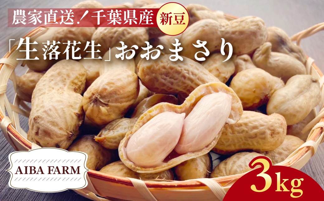 
            【先行予約・新豆 】千葉県産 大粒 農家直送！「生落花生」おおまさり３kg　【 ふるさと納税 人気 おすすめ ランキング 皮付き 殻付き ピーナッツ ピーナツ 落花生 千葉県 富里市 送料無料 】TML010
          
