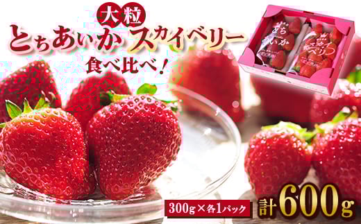 
            ＜春イチゴ＞ 食べ比べ!大粒『スカイベリー』、『とちあいか』300g×1パックずつ【1290960】
          
