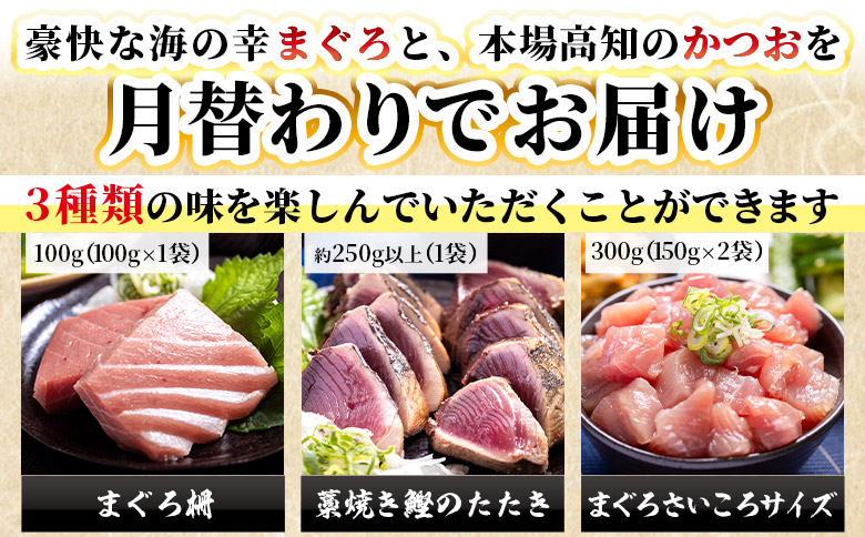 【12回定期便】〈月替わり〉かつお・まぐろ お楽しみセット - 国産 海鮮丼 漬け丼 煮物 鮪 マグロ 鰹 カツオ タタキ たたき 小分けパック 新鮮 魚介 産地直送 龍馬の海鮮隊 野島水産 高知県 