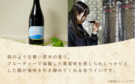 多古ワイン2021・山ぶどう【赤】【日本ワイン】750ml・1本_酒・アルコール 赤ワイン ワイン _【配送不可地域：離島・沖縄県】 TAKM003