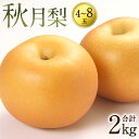 【ふるさと納税】 【先行予約】 秋月梨 約2kg 4-8玉 梨 熊本県産 八代市 秋月 果物 フルーツ 旬 熊本県 八代市 送料無料 【2024年9月中旬より順次発送開始】