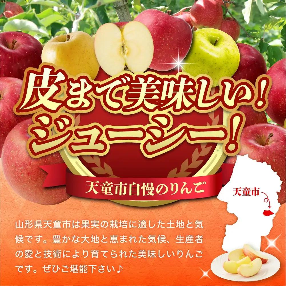 りんご 青林 3kg フルーツ 山形 りんご