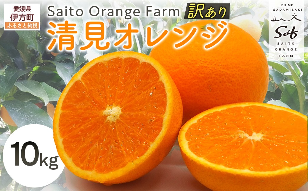 
                  【先行予約】Saito Orange Farmの訳あり清見オレンジ10kg（2027年3月中旬頃より順次発送予定） 【 ふるさと納税 人気 おすすめ ランキング みかん ミカン 蜜柑 柑橘 清見 オレンジ 清見オレンジ フルーツ 果物 産地直送 訳あり 西宇和 Saito Orange Farm 愛媛県産 愛媛県 伊方町 送料無料 】 IKTAQ010
                