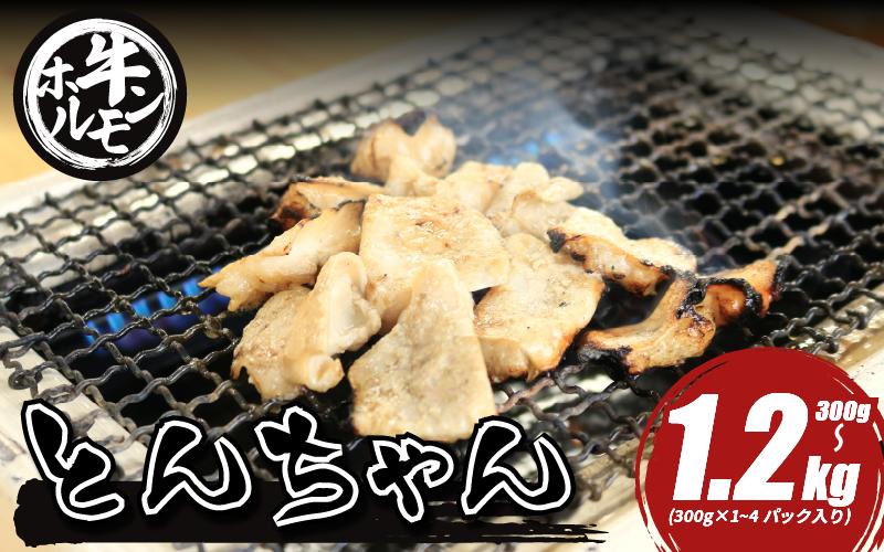 
            ホルモン 牛肉 小腸 選べる 容量 300g 600g 1.2kg とんちゃん 焼き肉 牛ホルモン 焼肉 ホルモン焼き モツ鍋 もつ鍋 ホルモン 鍋 鍋セット ご飯 米 ビール お酒 おかず ご飯のお供 ご飯が進む
          