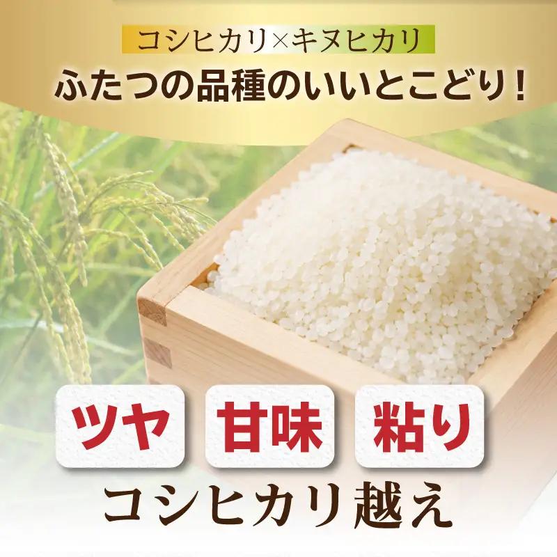 横浜市ふるさと納税返礼品　環境にやさしい無洗米を食べてSDGｓへ取り組もう！「BG無洗米　横浜市産はるみ（3kg×3袋）」 AFK0002