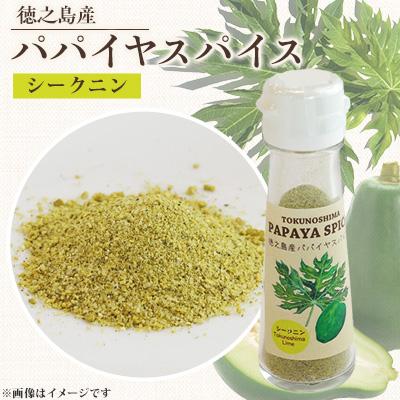 ふるさと納税 伊仙町 パパイヤスパイス　シークニン入り1本