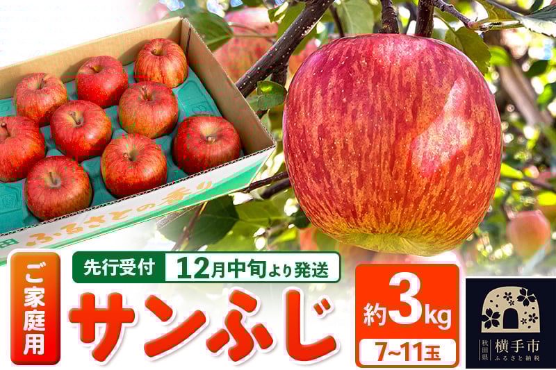 
            【先行受付】12月中旬より発送 サンふじ【ご家庭向け】約3kg（7～11玉）りんご 林檎
          