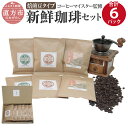 【ふるさと納税】コーヒーマイスター監修 新鮮珈琲セット 【焙煎豆タイプ】 3種類 各100g×2パックずつ 合計6パック 珈琲 コーヒー コーヒーマイスター コロンビア産 エチオピア産 ブラジル産 送料無料