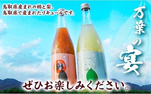 リキュール 鳥取県産梨・柿リキュール「万葉の宴」2本セット 株式会社北岡本店《90日以内に出荷予定(土日祝除く)》鳥取県 八頭町 リキュール 送料無料