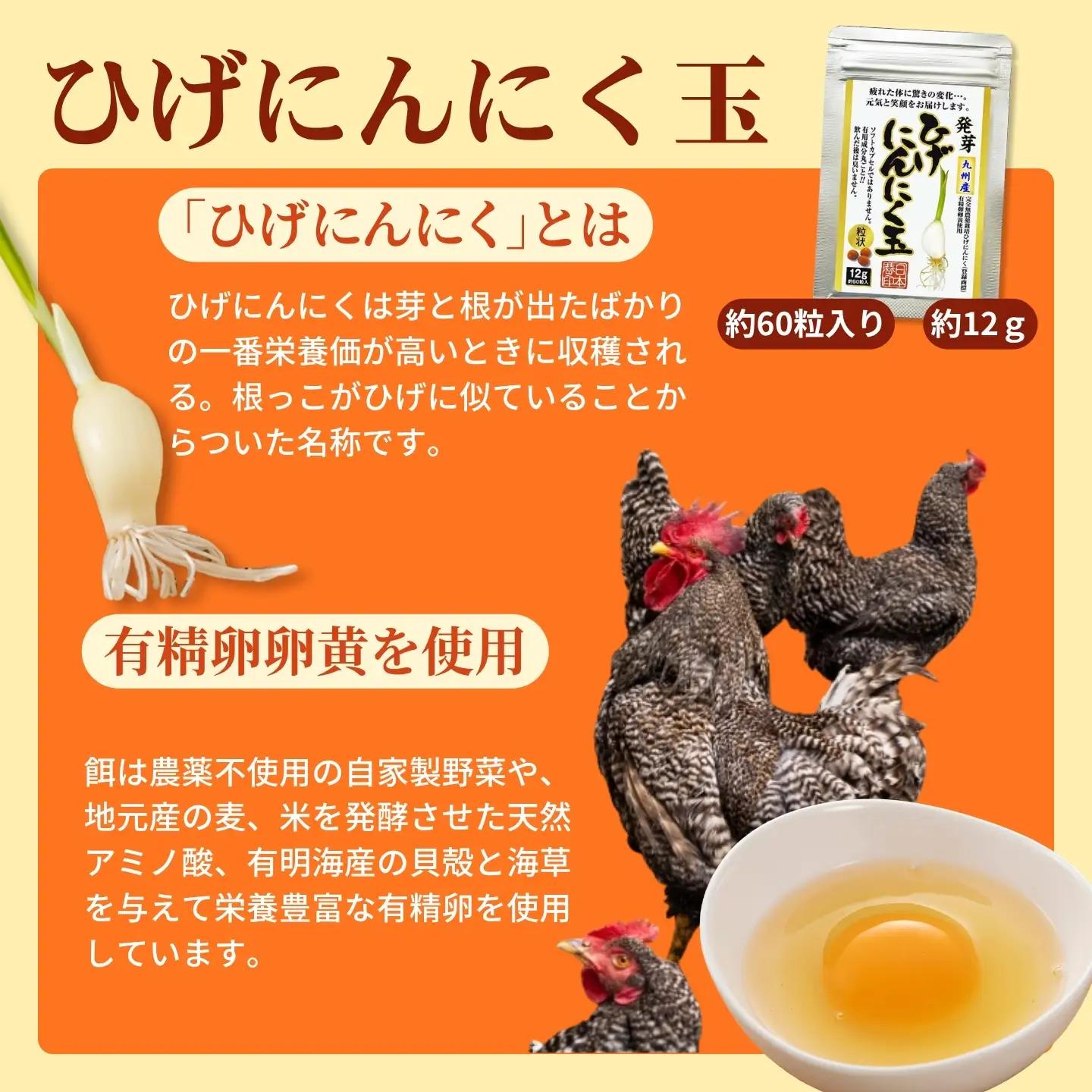 【レターパックライト配送】佐賀の手作りひげにんにく卵黄９袋セット：B515-005