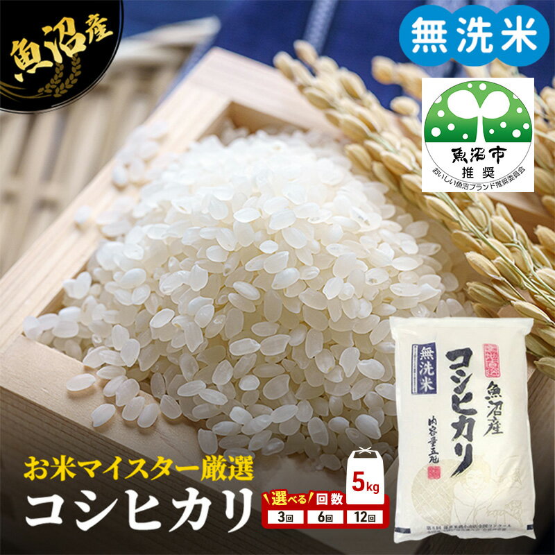 【ふるさと納税】無洗米 コシヒカリ 5kg 定期便 3ヶ月 6ヶ月 12ヶ月 米 白米 お米 魚沼産コシヒカリ 新潟米 新潟 魚沼市 定期 3回 6回 12回 魚沼米穀　お届け：寄附入金確認後の翌月より発送